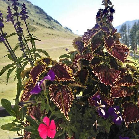 Studio En Pleine Montagne Avec Vue Sur Marmottes La Mongie Dış mekan fotoğraf