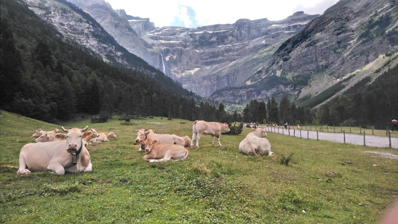 Studio En Pleine Montagne Avec Vue Sur Marmottes La Mongie Dış mekan fotoğraf