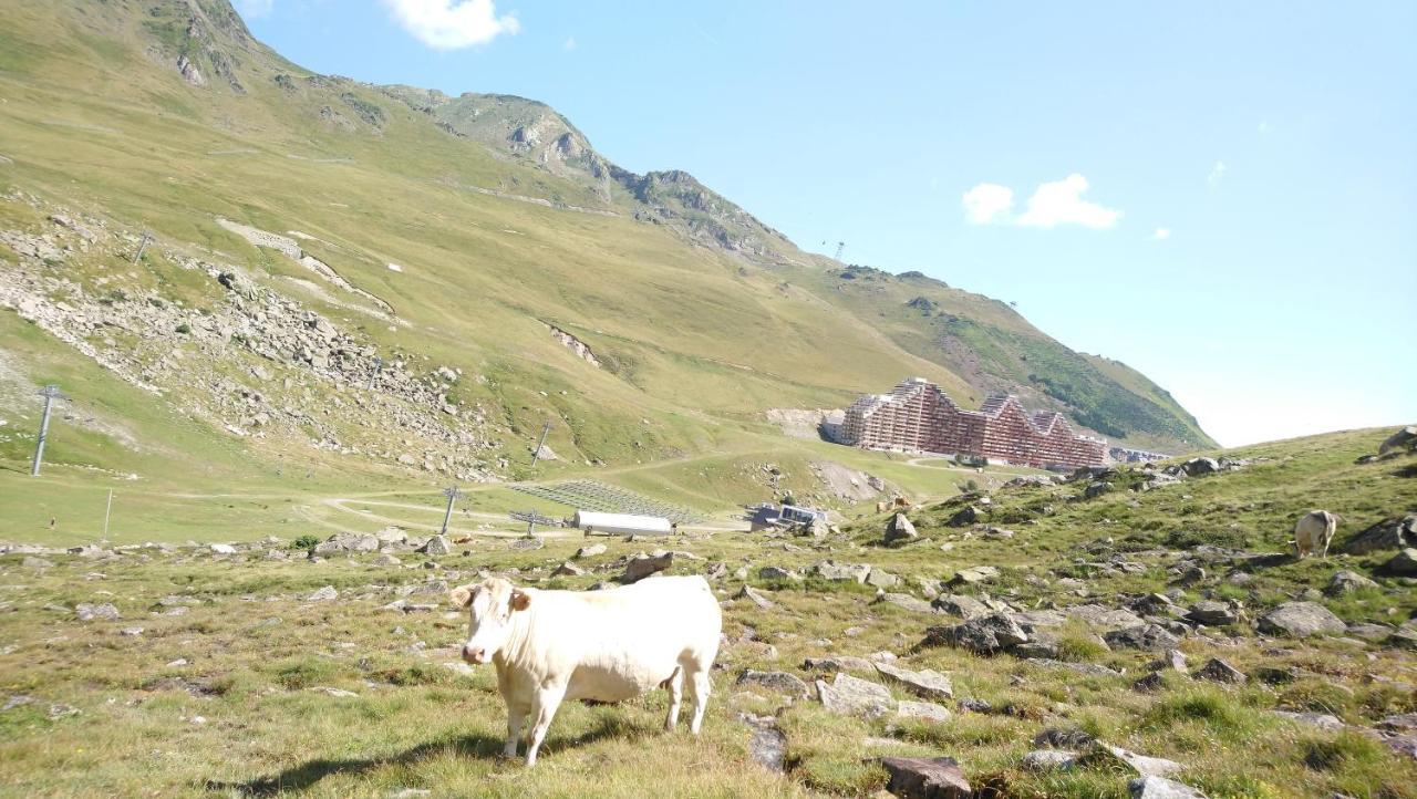 Studio En Pleine Montagne Avec Vue Sur Marmottes La Mongie Dış mekan fotoğraf