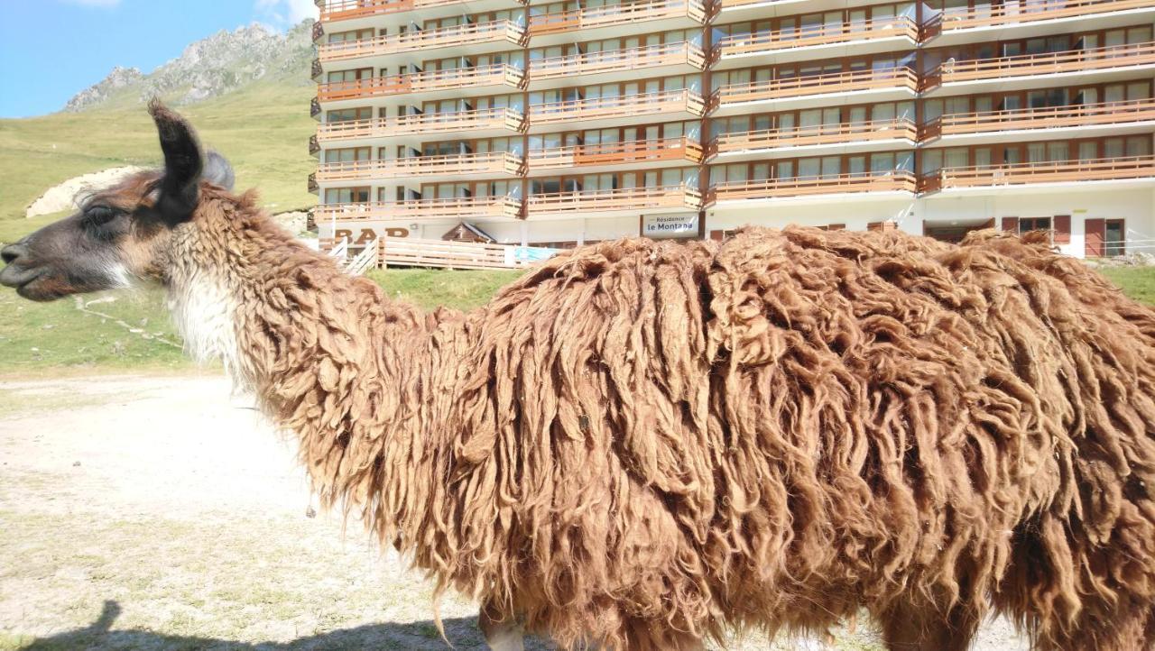 Studio En Pleine Montagne Avec Vue Sur Marmottes La Mongie Dış mekan fotoğraf